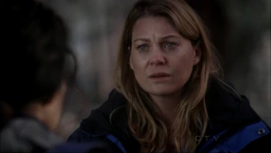 Meredith Grey