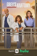 GreysAnatomyTemporada22Poster.webp.jpg (122 kB)