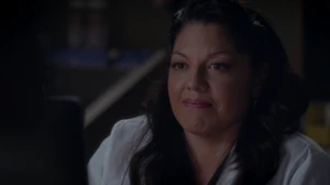 Callie Torres