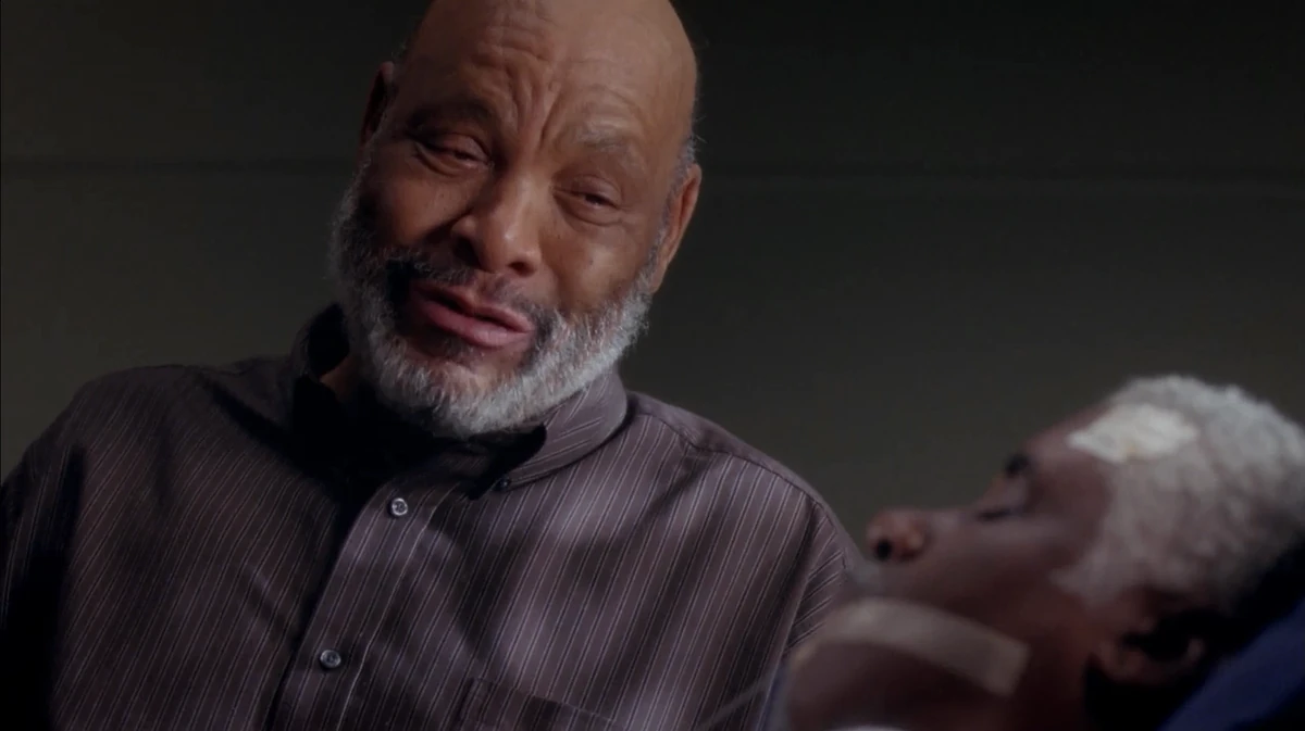 Sam | Grey's Anatomy Universe Wiki | Fandom