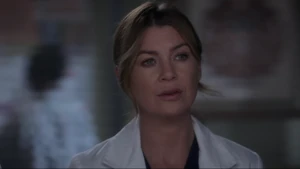 Meredith Grey