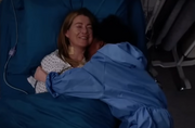 Zola y Meredith