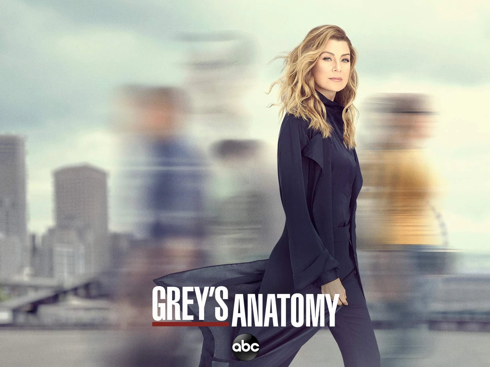 Staffel 16 (Grey's Anatomy) | Grey's Anatomy Wiki | Fandom