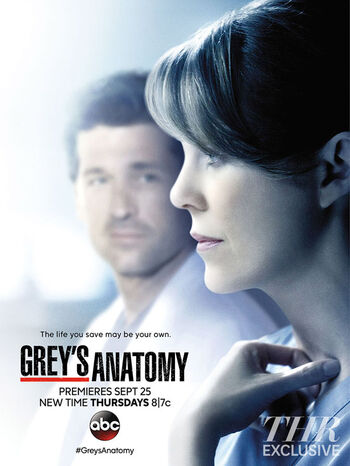 Greys Anatomy Staffel 11 Poster