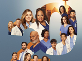 Staffel 20 (Grey's Anatomy)