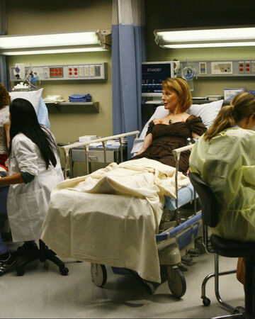 Es War Einmal Teil 1 Grey S Anatomy Wiki Fandom