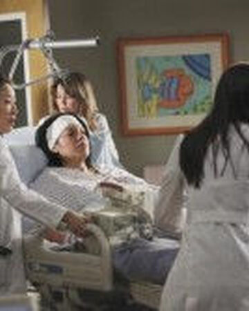 Ein Langer Weg Zuruck Grey S Anatomy Wiki Fandom