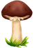 Кольцевик