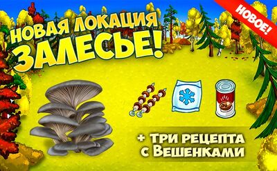 Вешенки рус