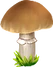 Kolpaki