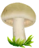 Майский