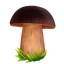 Дубовик