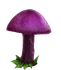 Паутинник