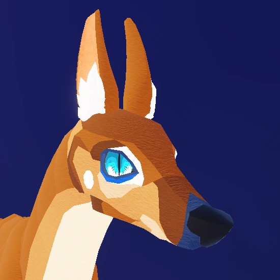 Coati Mundi Head Griffin's Destiny Wiki Fandom