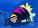 Spider Mandy.