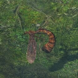 GiantMosquito.jpg