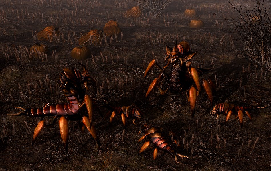 grim dawn culling the swarm queen ravenna