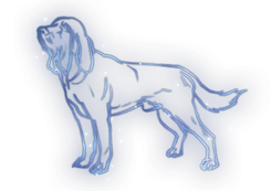 Hound Constellation Icon