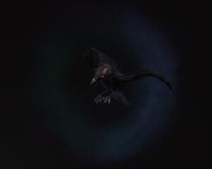 Raven Pet.jpg