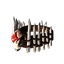 Crown of Command Icon.png
