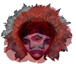 版画 Geidi Primes, 2010/2020 Grimes – Geidi Primes – CD (Album), 2011 [r4217431] | Discogs