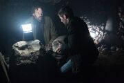 Grimmfan-stills-5x12-001