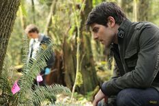 Grimmfan-stills-1x01-041