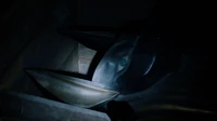 315-Sarcophagus in crate