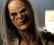 201-Catherine morphed.png (259 КБ)