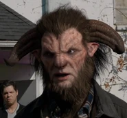 509-Jonathan woged.jpg (290 КБ)