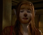 Fuchsbau alicia2.png (672 КБ)