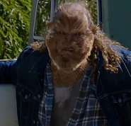 405-Shaw woged.jpg (396 КБ)