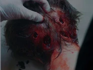 401 Gedachtnis Esser victim.png (745 КБ)