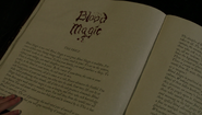 610-Blood Magic excerpt