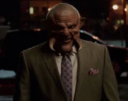 403-Stan woged.jpg (231 КБ)