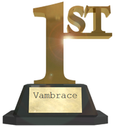 1st Place: Vambrace