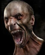 HasslichConcept.jpg (224 КБ)