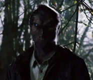 219 bird wesen.png (146 KB)