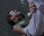 204-Stangebär woge.gif (3,44 МБ)