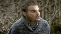 Wesen bb