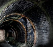 517-BTS3.jpg (338 KB)