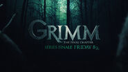 Grimm Finale placeholder