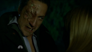 Renard és Adalind