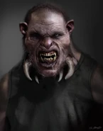 Schinderdiv first look.jpg (189 КБ)