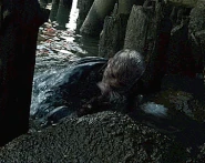 220-Luisant-Pêcheur.gif (8,86 МБ)