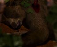 Diane Rabe woged.jpg (72 КБ)