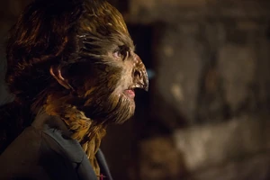 501 - "The Grimm Identity"