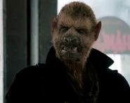 Hundjager.png (156 KB)