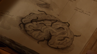 215-Jinnamuru Xunte brain diary.png