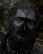 511-Marwan woged.jpg (245 КБ)